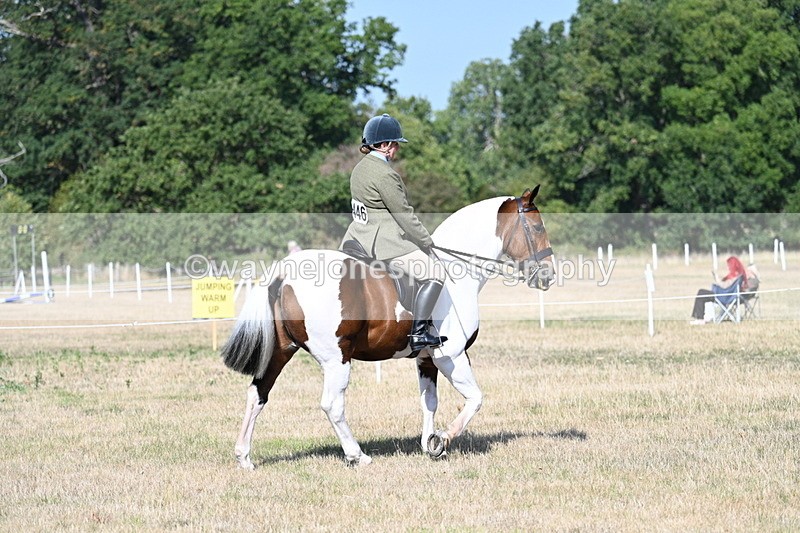 WJ7_2767 - Class 8 Ridden Tack & Turnout