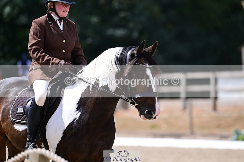 260802A-114903-06444 - Novice Bronze break - end