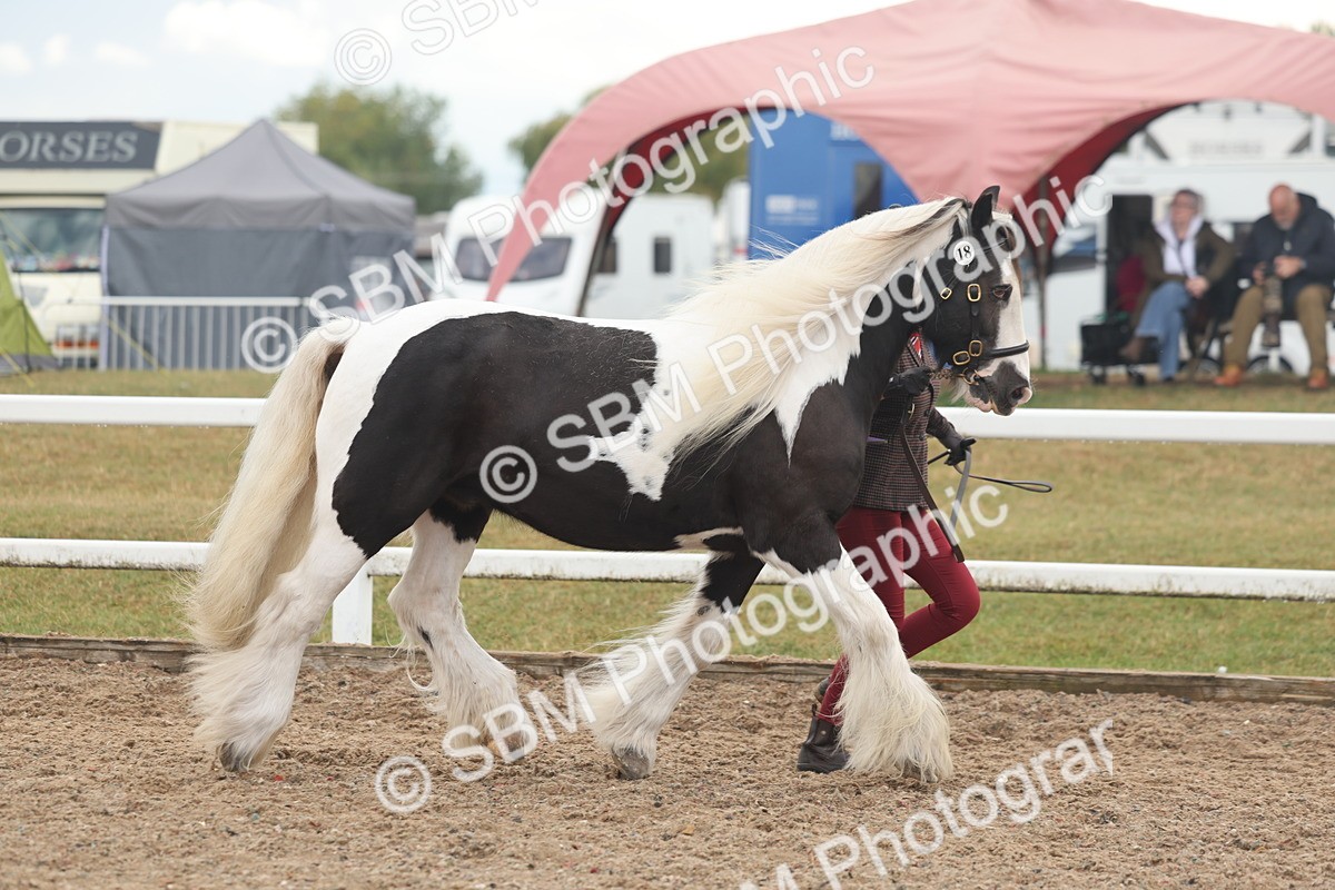 SBM_08418 - Class 29 - IH Veteran Pony