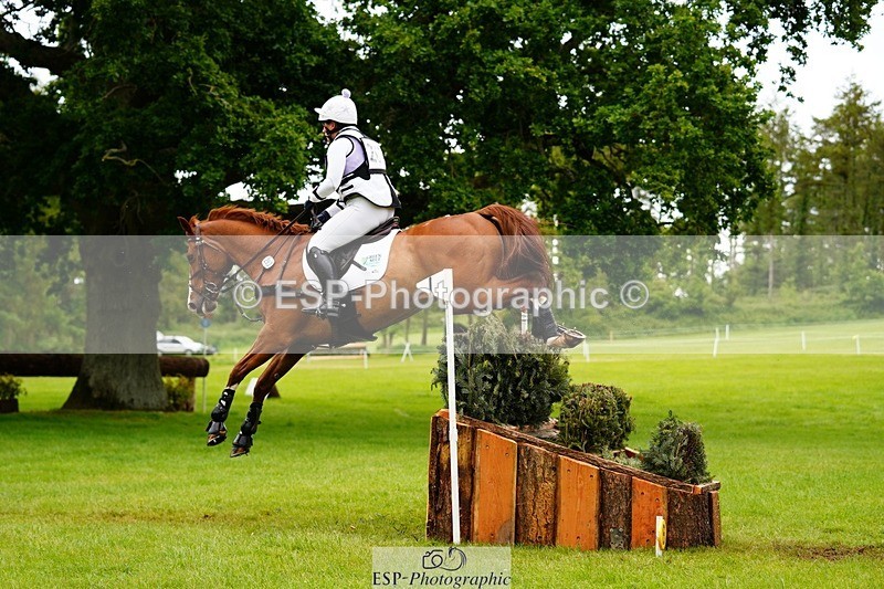 240525-170654-19018 - 263-CHILLI_MORNING_IV-Gemma_Stevens