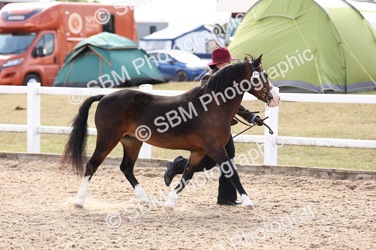 SBM_15031 - Class 209 - IH Veteran Pony
