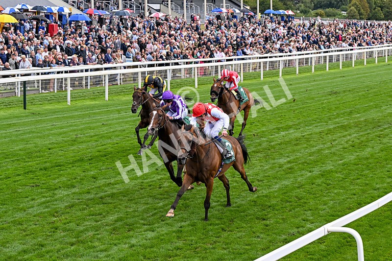 210826-Race 2-Al Nayyir-0147 - Race 2 14.25pm Weatherbys Lonsdale Cup Stakes