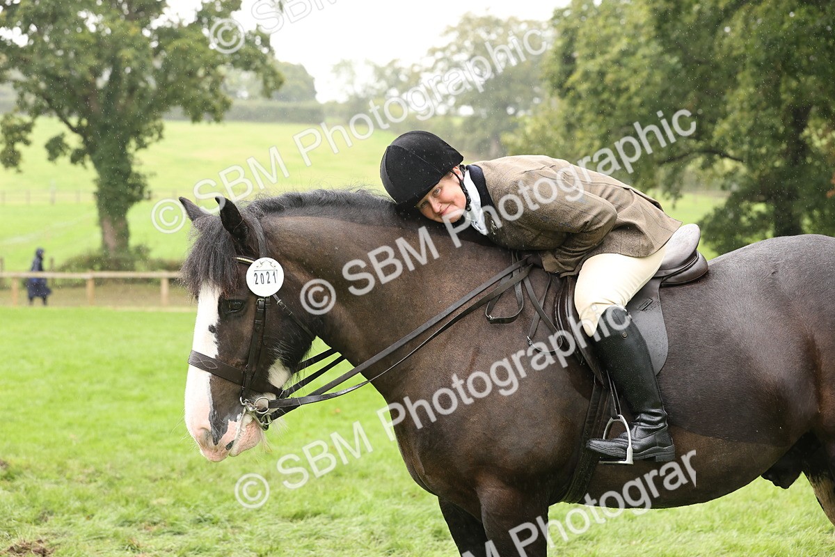 SBM_69847 - S69 - Show Cob Ridden