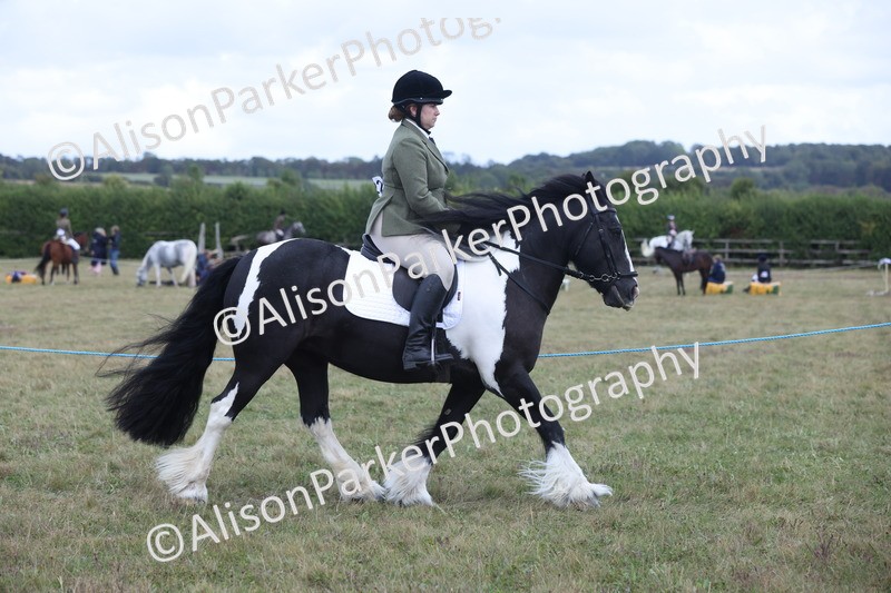 20250831-4210 - Class 20 - Ridden Coloured