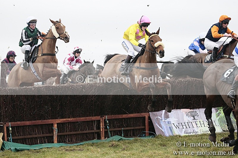 PtP 180218 193 - Combined Services Point-to-Point Larkhill 18/02/18