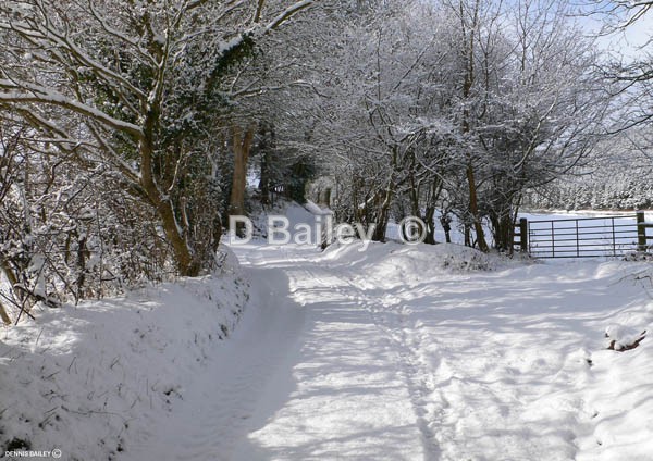 Snow Time - Mixture A4