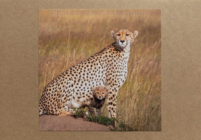 033 Amani - For Sale - Handmade Cards £2.50 each