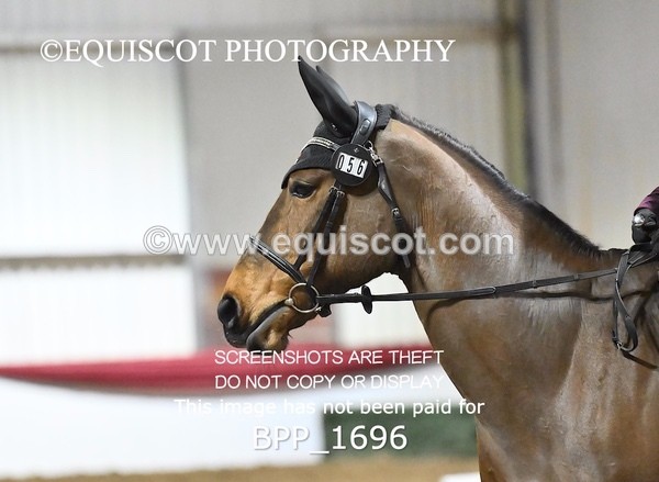 BPP_1696 - PC NOVICE DRESSAGE