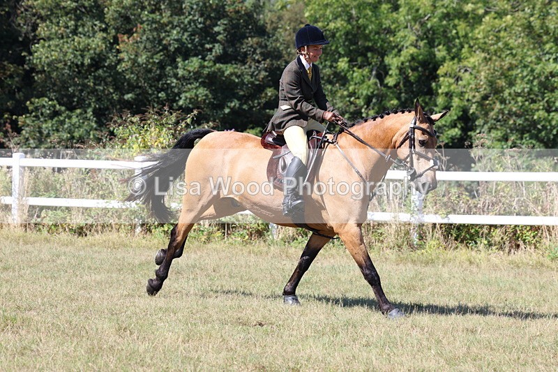 3E7A6274 - Class 6: Working Hunter 1m