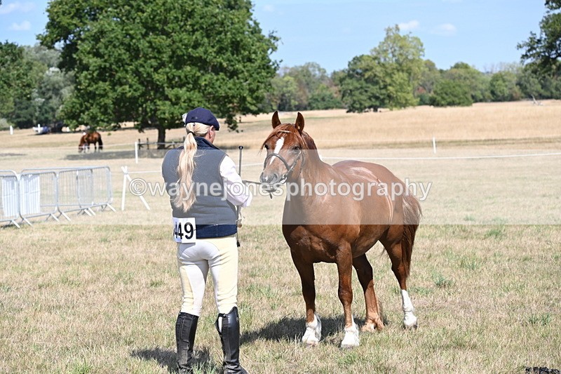 WJ6_5032 - Class 17 Mountain & Moorland