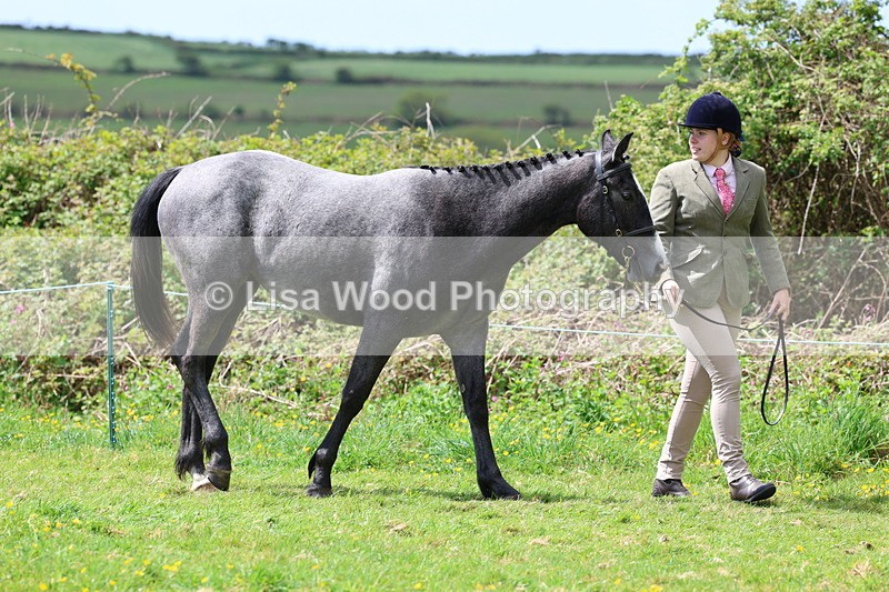 3E7A0442 - Class 20: Sports Horse