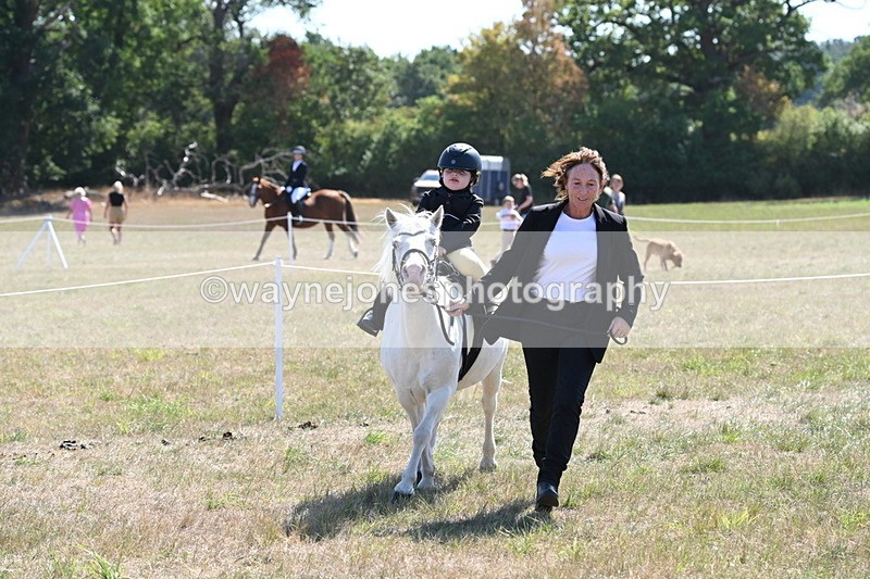 WJ6_7882 - Class 36 Lead Rein