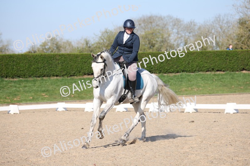 20250405-0209 - Class 11 - My Quest Novice 3