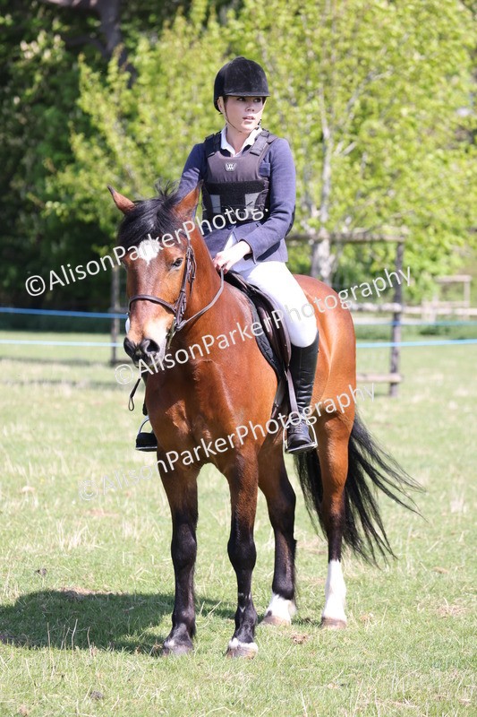 20250427-3232 - Class 33 - Best Pony 14.2hh and Under