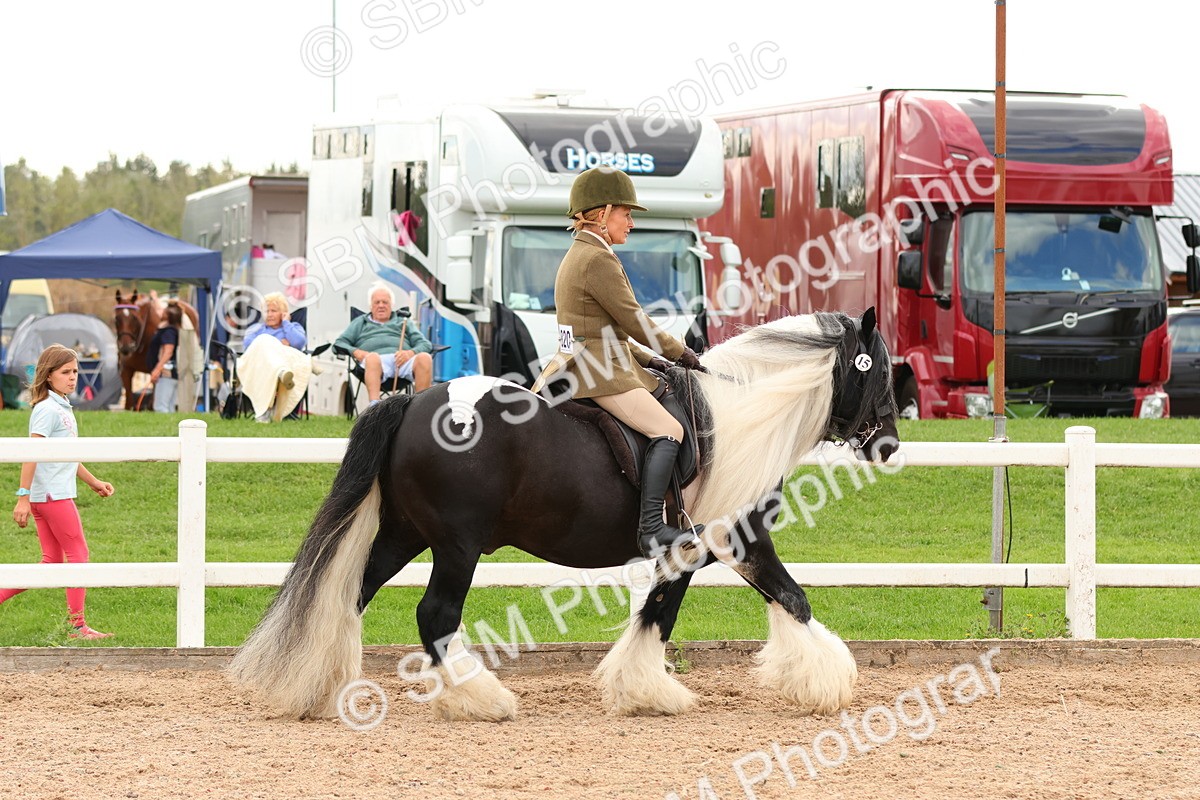 SBM_15632 - Class 215 - Ridden Traditional - Native Cobs