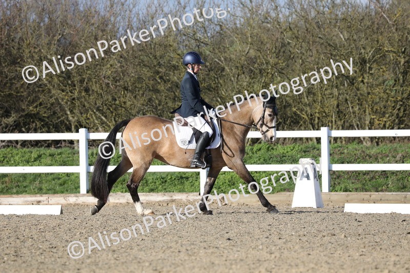 20260314-5877 - DR8 - Elementary 2