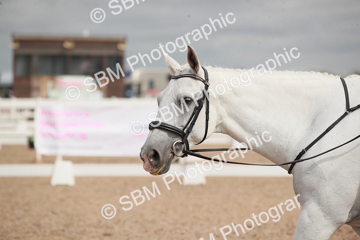 SBM_03912 - Class 31 - Prelim 1