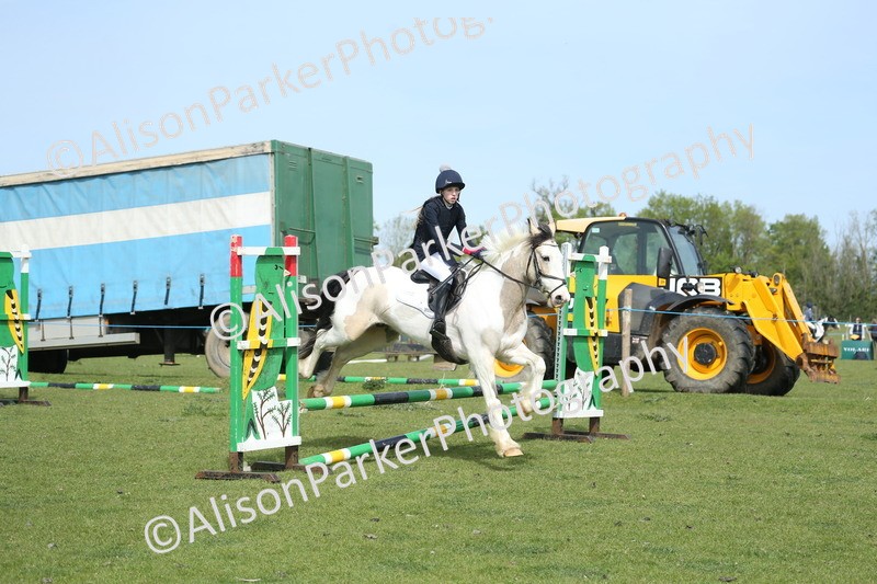 20260426-1653 - Class 14 - Novice 60cm