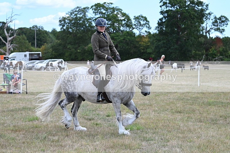 WJ7_4920 - Class 12 Ridden Cob