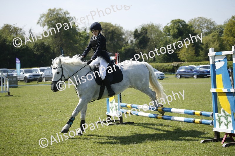 20250427-2195 - Class 13 - Novice Jumping 60cm