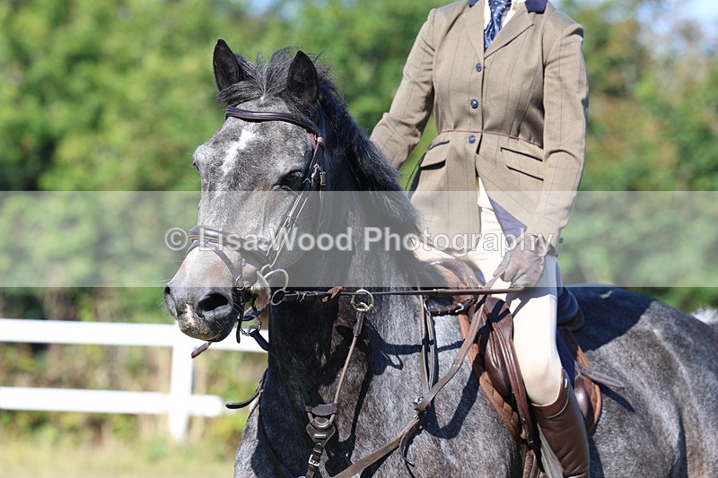 3E7A5519 - Class 3: Working Hunter 70cm