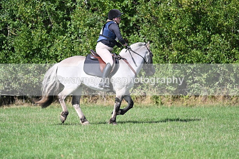 WJ7_9801 - Time 12:12 to 12:40