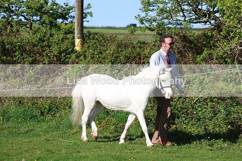 3E7A8315 - Class 12: M & M Small Breeds