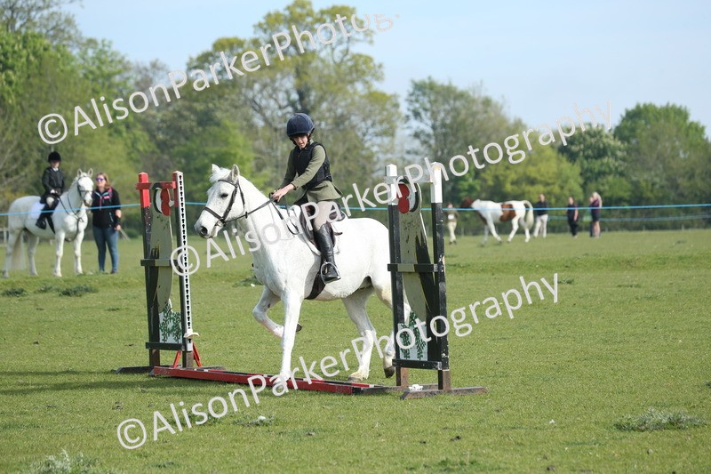 20260426-0171 - Class 13 - Rookie Jumping 50cm