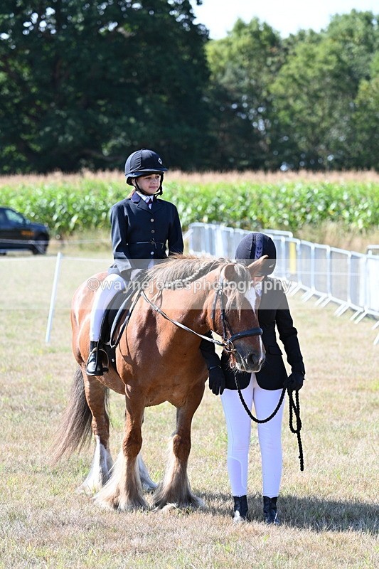 WJ7_3174 - Class 8 Ridden Tack & Turnout
