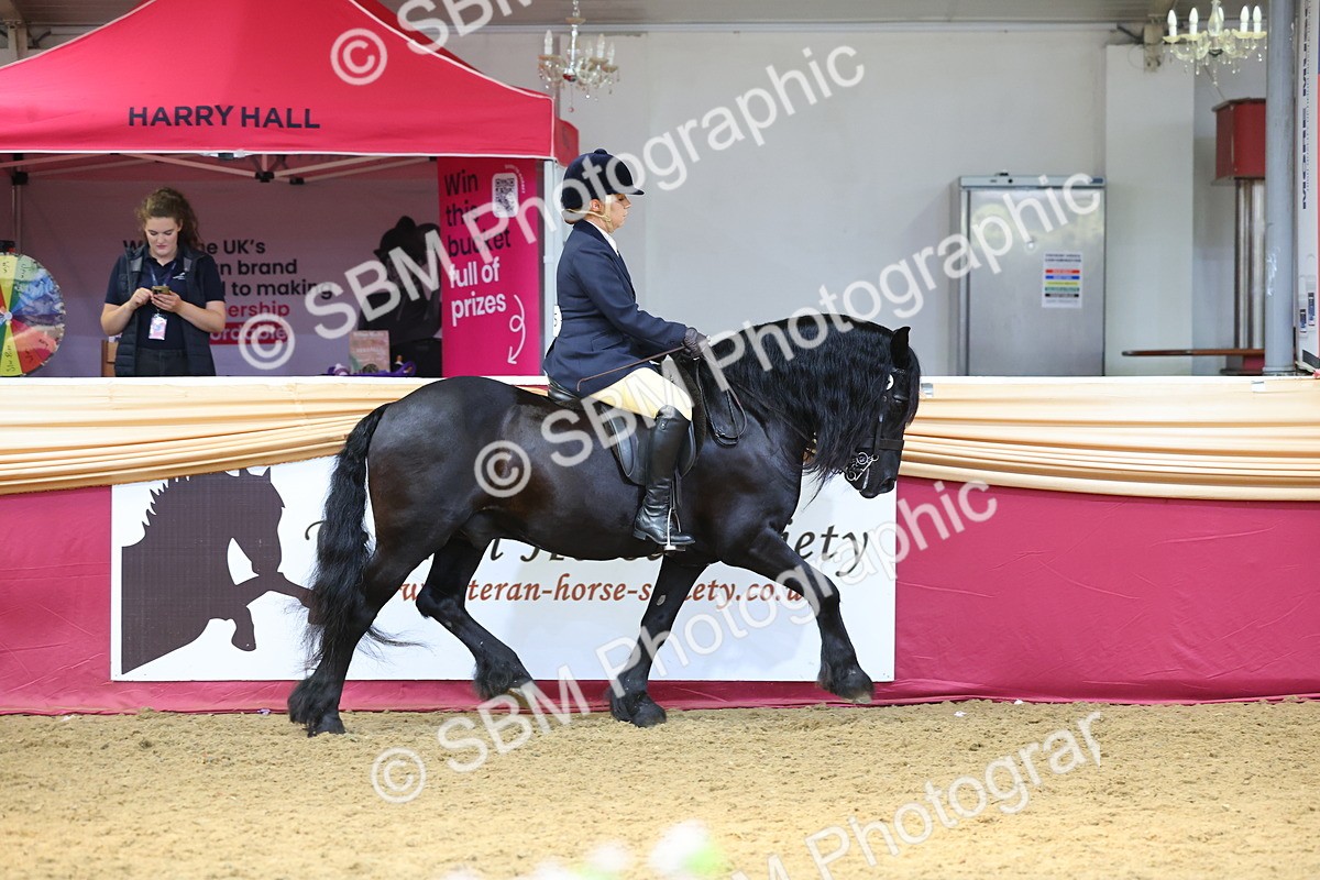 SBM_23881 - Class 905 - Supreme Final - Ridden Veteran
