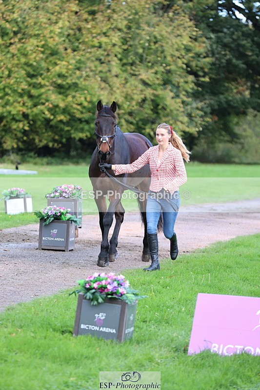 251026A-103405-23101 - E-397-Verity.Leggett