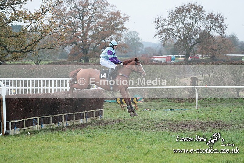 PtP 031223 999 - Wheatland Hunt PtP Chaddesley Races 03/12/23
