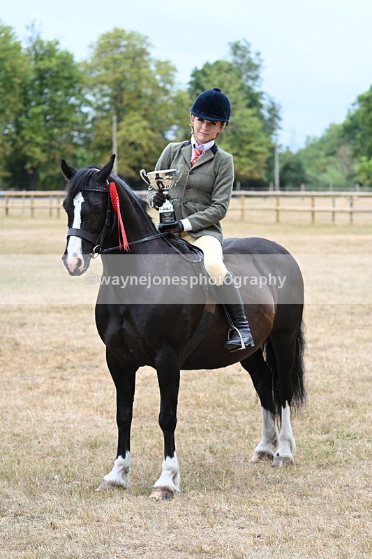 WJ7_1051 - Photo Shoots