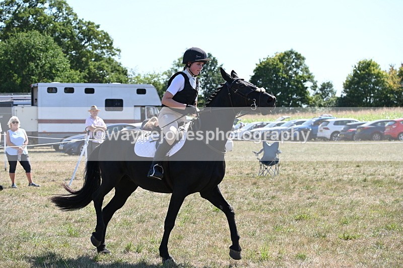 WJ6_8921 - Class 38 Ridden Riding Horse/Pony