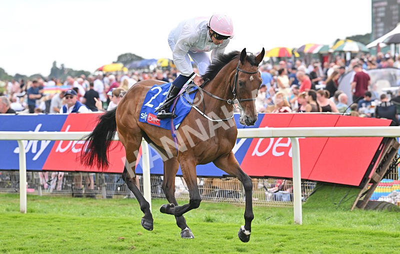 220826-195 Love Me Tender - Race 4 15.35pm Sky Bet Ebor Handicap