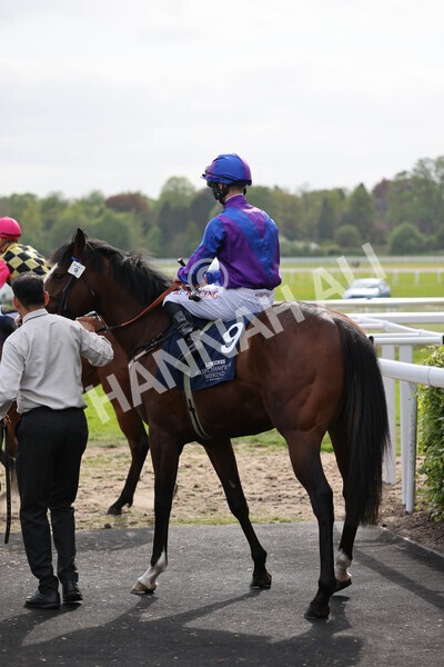 yr13052022r7-11 - Race 7 5.15pm Longines Irish Champions Weekend Stakes