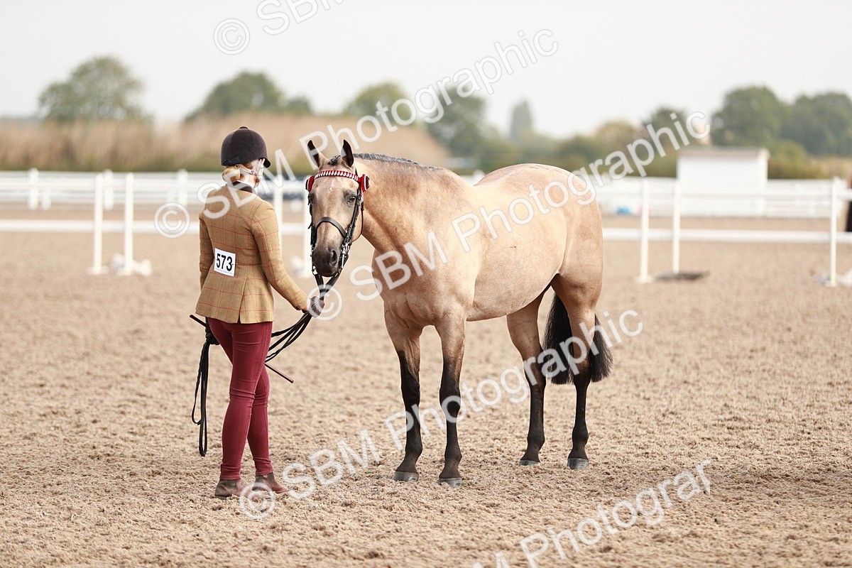 SBM_10566_Class 204 - Young Handler 11 to 16 Years - Cart - Laura