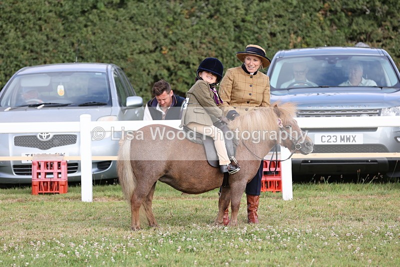 JPP_0222 - Class 14: Cornish Combination Leading Rein