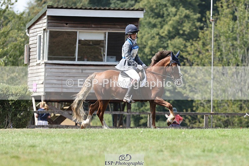 250823A-134337-31360 - Arena D