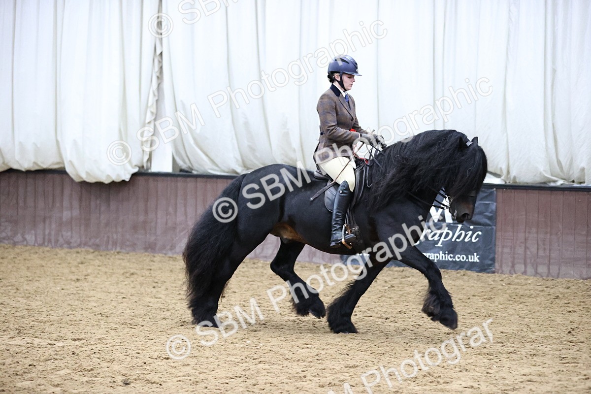SBM_6561 - Class 43 - Ridden Native Breeds