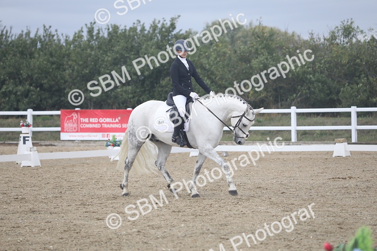 SBM_004105 - Class 5 - Prelim 3 - 15.08-15.50