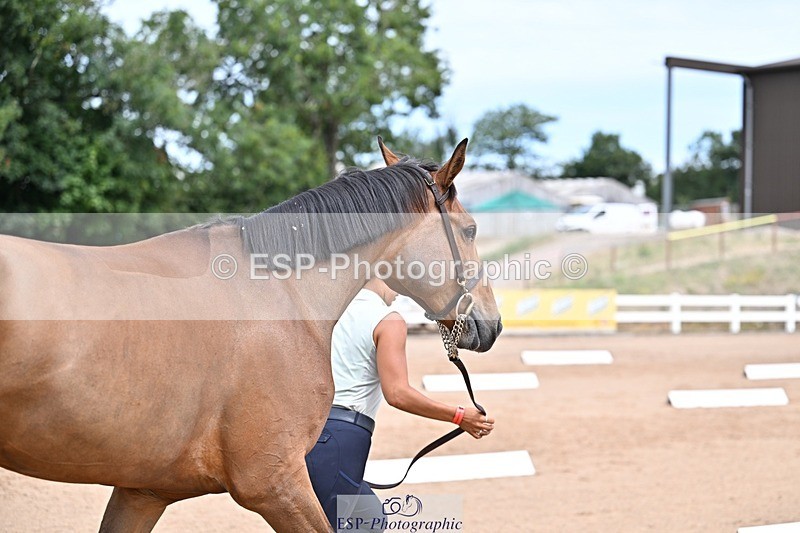 250716-131852-00426 - Trot Up 12.30 to 1.30