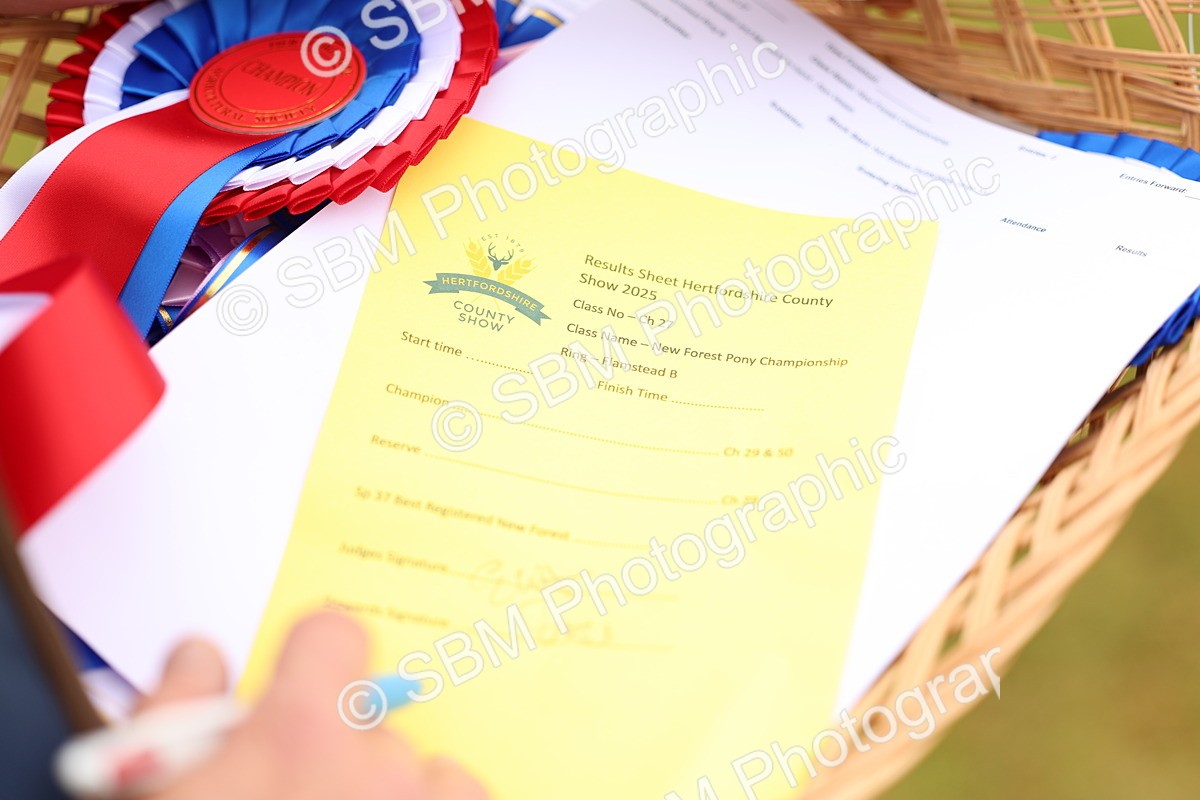 SBM_04305 - Class 64-67 - Shetland Pony In Hand