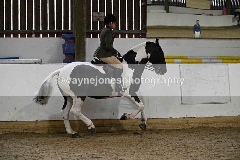 WJ7_3834 - Class 17 Ridden Cob