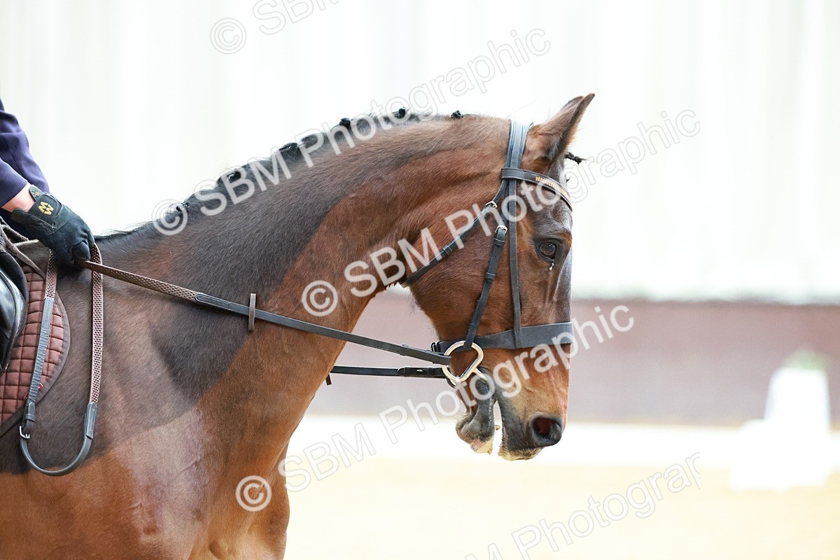 SBM_000595 - Class 5 - CT Novice 2-70cm