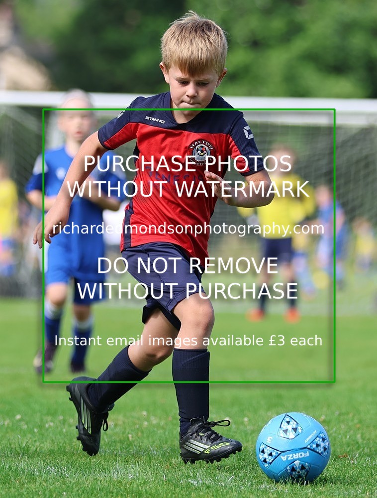 533A2346 - Halton U8