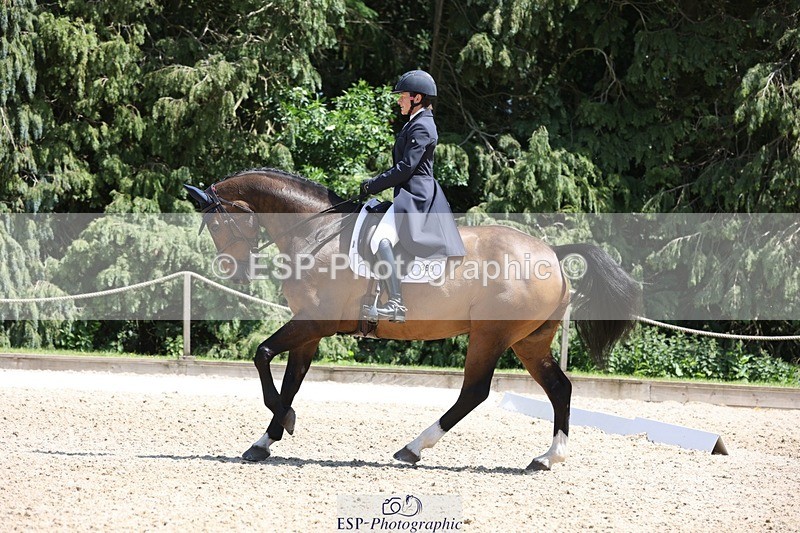 230526-135052-06402 - 369-GIDO_G-Sally_Chamberlain-WEDTrotUp+DR