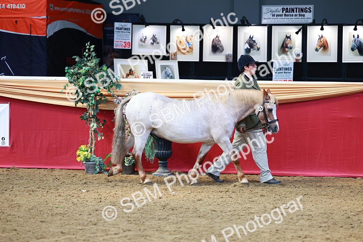SBM_02228