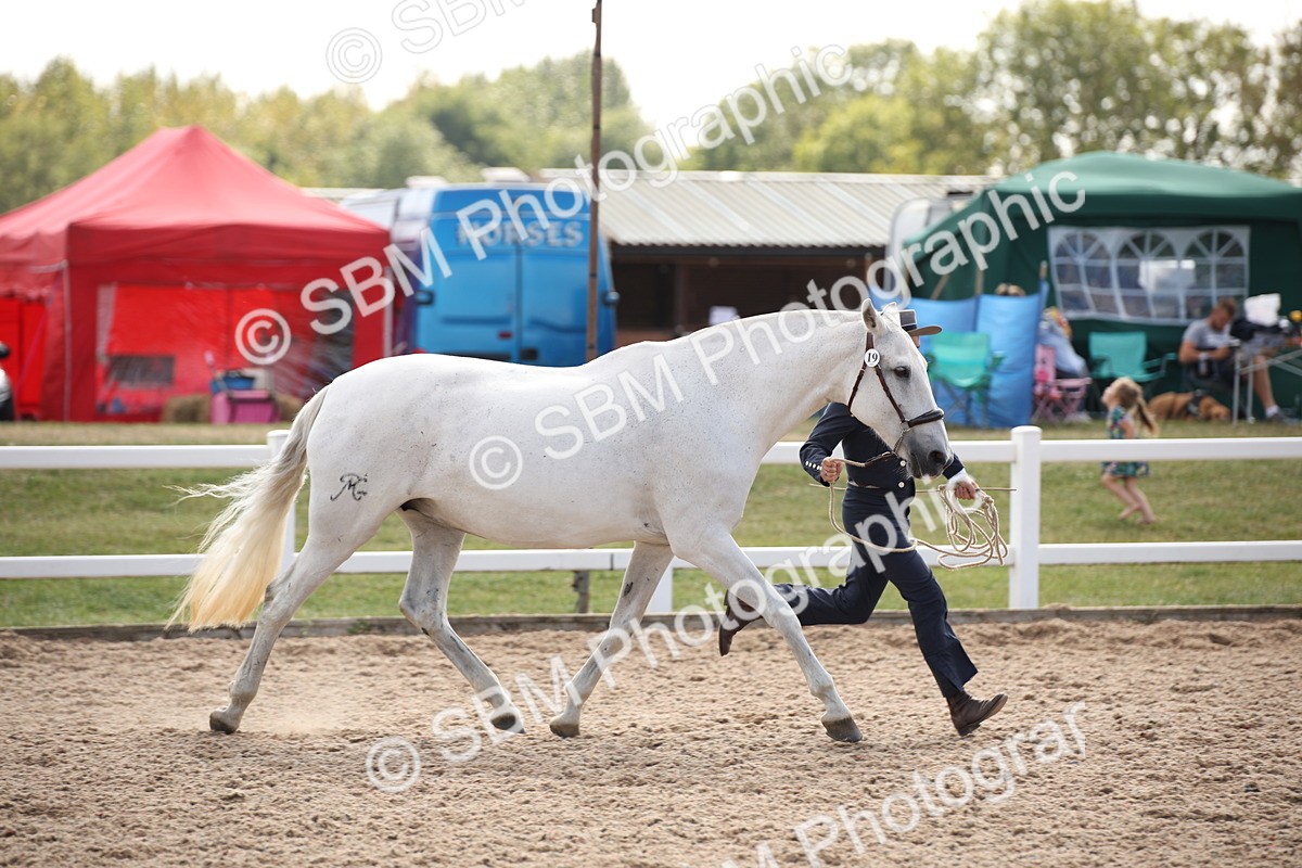 SBM_07063 - Class 25 IH Foreign Breeds- Pure bred