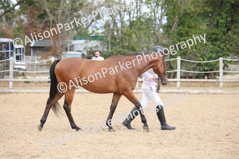 20260831-1896 - Class 5 - Retraining of Racehorses